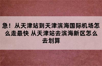 急！从天津站到天津滨海国际机场怎么走最快 从天津站去滨海新区怎么去划算